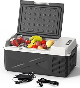 ElectroCooler 12/24V -20? Portable Fridge