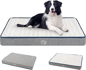 Empsign Reversible Orthopedic Dog Bed Mat