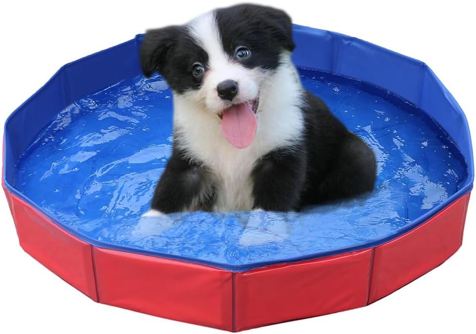 PetPoolie PVC Foldable Dog Pool