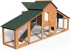 Granero de madera Vounot 2 Gallinas Ramp Access